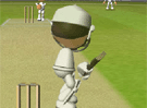 Flash Cricket 2