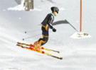 Ski Sim 