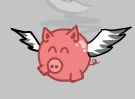 Pigs can Fly!