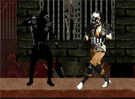 Mortal Kombat Karnage 