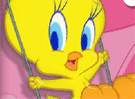 Tweety pet