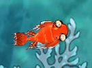 Zippy Fish