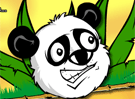 Bamboo Panda