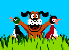 Duck Hunt Reloaded