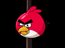 Angry Bird Shot