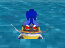 Sonic Moto Acuática 