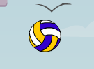 Sports Heads: Volleyball