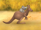 Calle con un koala en Kangaroo