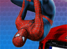 Spiderman Amazing Race