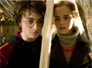  Harry Potter y su amiga Hermione 