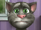 Talking Tom Cat 2