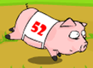 Pig Race