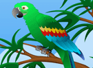 Hidden Parrots