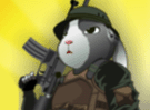 Rabbit Sniper