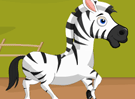 Racing Zebra