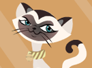 Cat Breeder