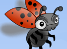 LadyBug!