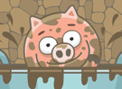 Piggy in the Puddle