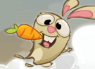 Carrot Rush