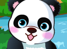 Cute Panda Dress Up