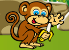 Addicted Monkeys