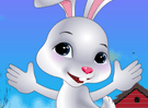 Zippy Bunny