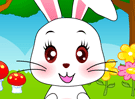 Cute Bunny