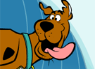 Scooby Surf