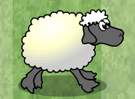 Sheep Reaction 