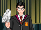 Vestir a Harry Potter