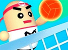 Volley Game 3D