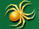 Spider Solitaire