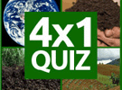 4 x 1 Picture Quiz